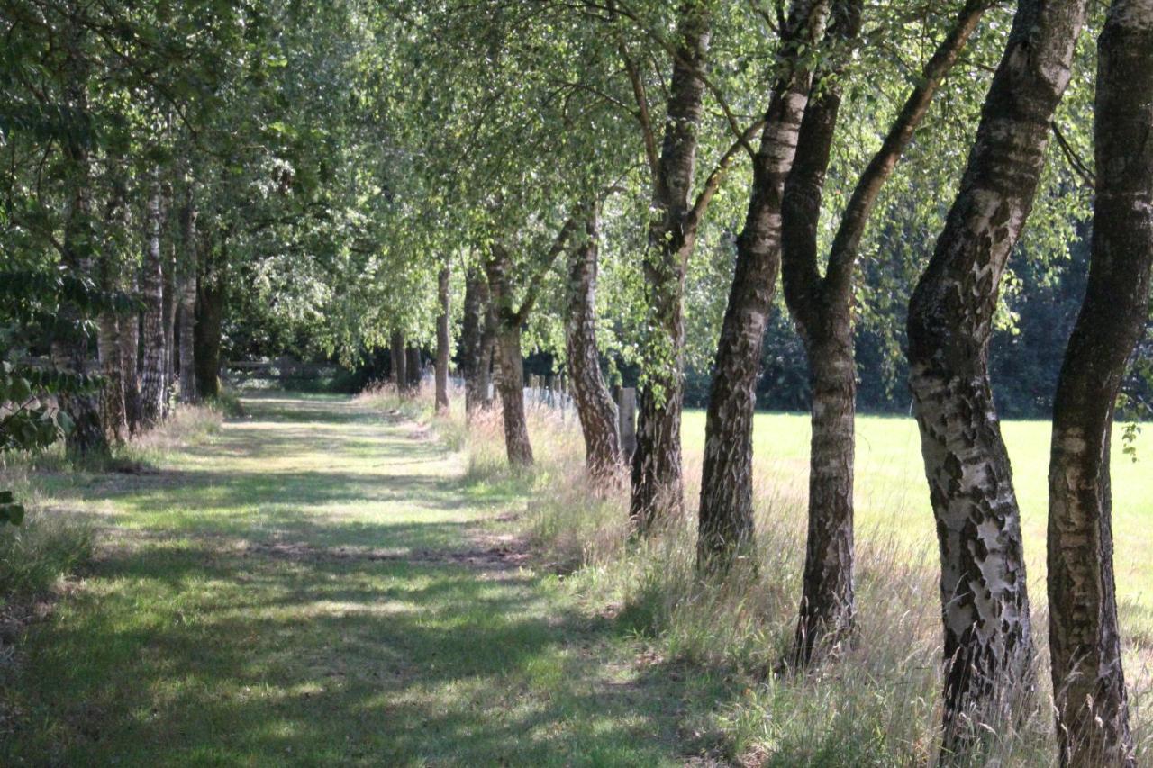 Overberg Inn The Woods - Private Stay المظهر الخارجي الصورة